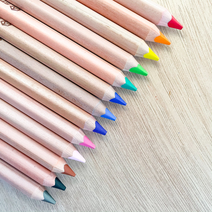 12 Professional Soft Pastel Pencils Wood Skin Tints Pastel Colored