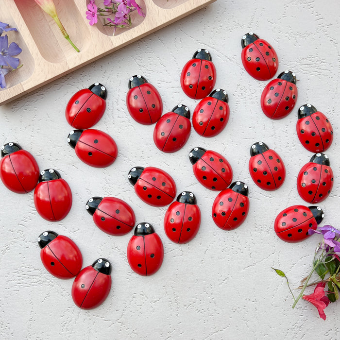 Ladybug Counting Stones - Math Counting Stones