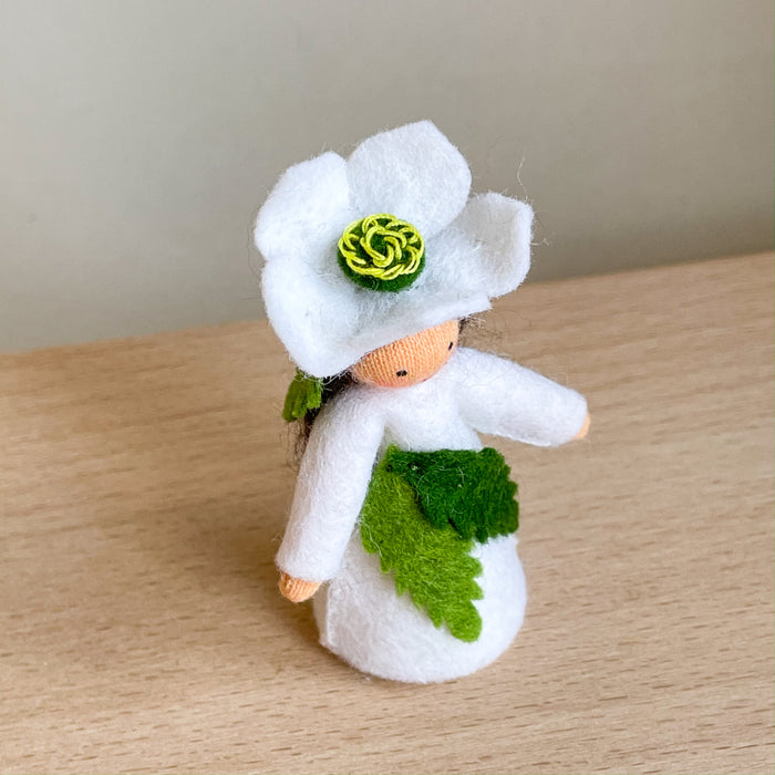Winter Fairy - Christmas White Rose - Flower Hat Fairy - Ambrosius Flower Fairies