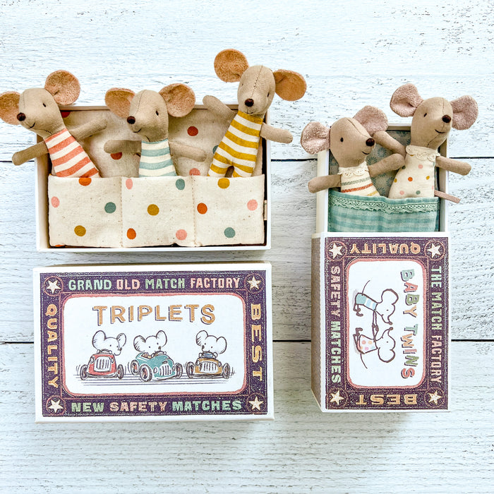 Triplets Mice in a Match Box - 3 Baby Mice
