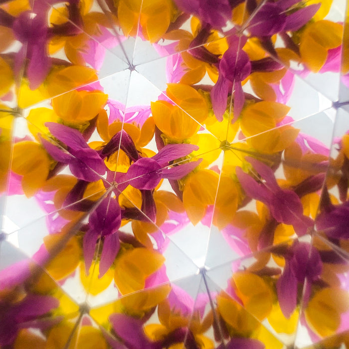 Little Flowers Kaleidoscope