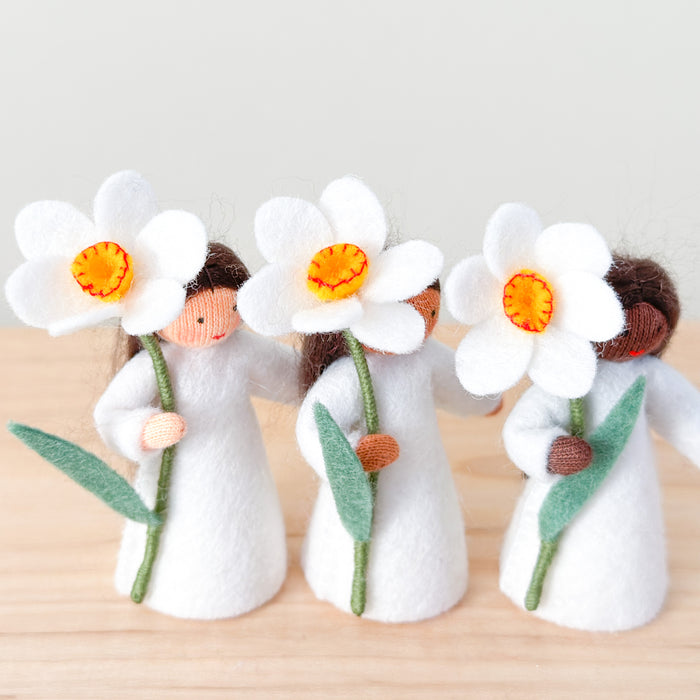 Spring Fairy - White Daffodil Fairy - Holding a Flower - Ambrosius Flower Fairies