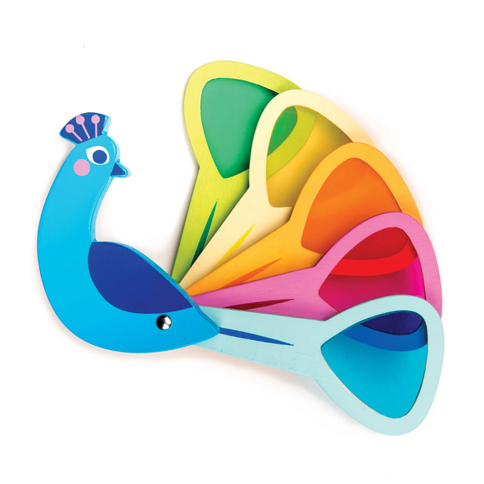 Peacock Colors - Color blending Toy - Tender Leaf Toys