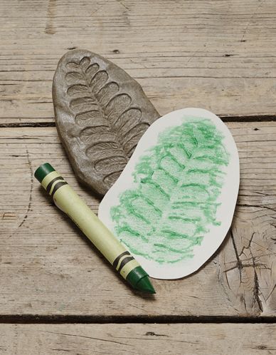 Fossil Stones - Outdoor or Indoor Stamping and rubbing stones