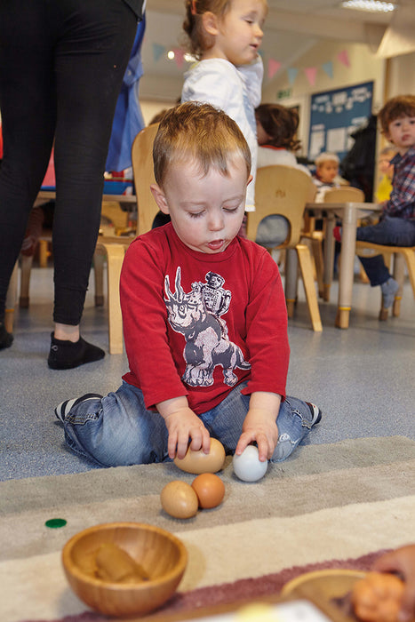 Sorting Eggs - Sensory Play Stones - Pretend Bird Eggs