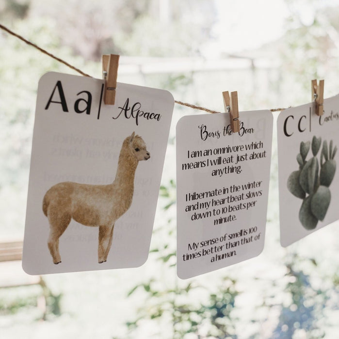 Nature's ABC Flashcards - Jo Collier