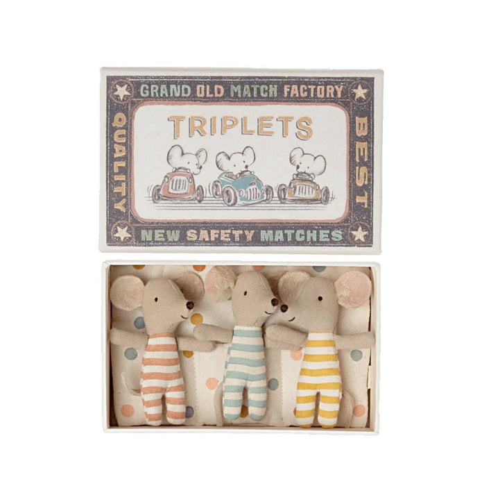 Triplets Mice in a Match Box - 3 Baby Mice