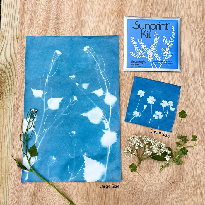 Sunprint Kit - Sun Printing Craft Kit - Cyanotype Paper Nature - Small